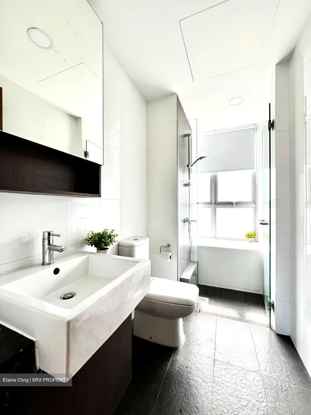 The Parc Condominium (D5), Condominium #564158221